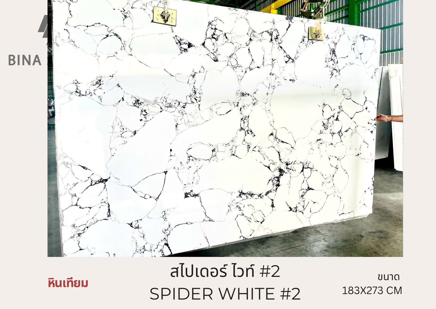 LINE_ALBUM_Artificial Marble_240823_9